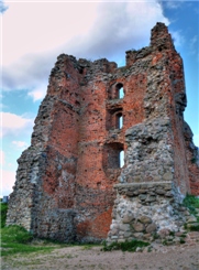 Сооружение Новогрудского замка относится к начальному периоду истории города (XIII век). Крепостные стены и башни в течение веков модернизировались. Позднейшие крепостные стены образуют многоугольник, объединяющий несколько башен.
